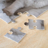 Vier jonge Ragdolkatten zitten op rij Legpuzzel (Zijkant)