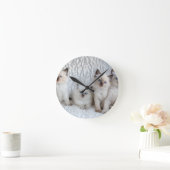 Vier jonge Ragdolkatten zitten op rij Ronde Klok (Huis)