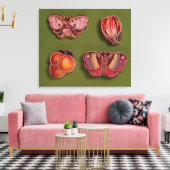 Vier kartonnen en juwelen, vlinder canvas afdruk (Insitu (Woonkamer))