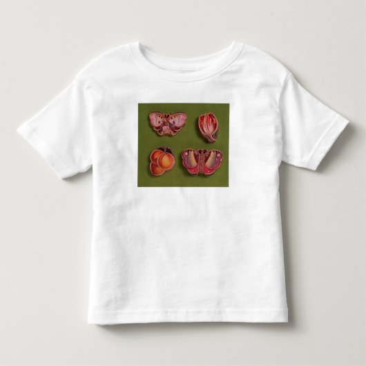 Vier kartonnen en juwelen, vlinder kinder shirts (Voorkant)