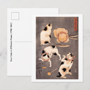 Vier katten in verschillende poses (1798-1861) briefkaart