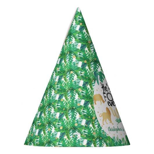 Vier keer per dag Wilde Boys Feesthoedjes (Links)