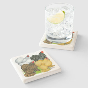 Vier Kippen Cochin Stenen Onderzetter