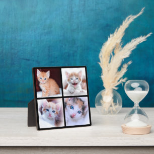 Vier Kitten Photo Collage Black Fotoplaat