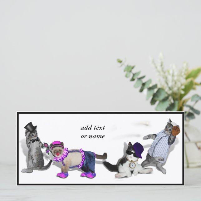 Vier Kittens bij het spelen (Staand voorkant)