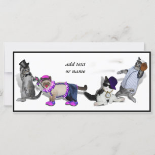 Vier Kittens bij het spelen