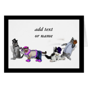 Vier Kittens bij het spelen