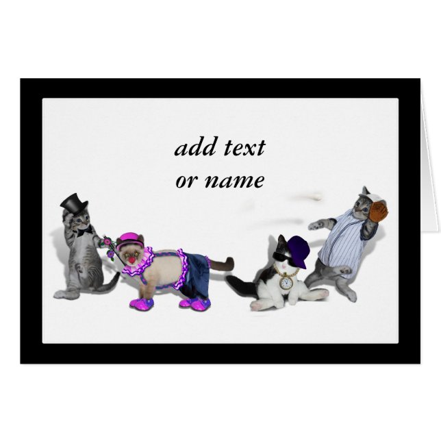 Vier Kittens bij het spelen (Voorkant Horizontaal)