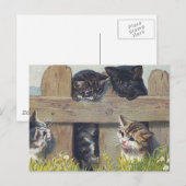 Vier Kittens die  illustratie spelen Briefkaart (Voorkant / Achterkant)