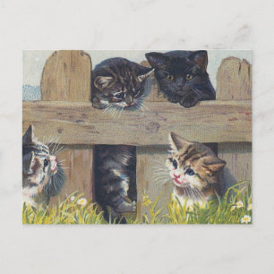 Vier Kittens die  illustratie spelen Briefkaart