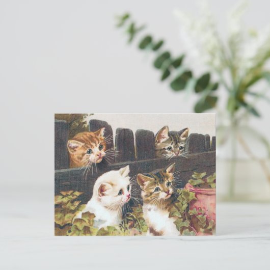 "Vier Kittens" Vintage Briefkaart (Staand voorkant)