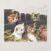 "Vier Kittens" Vintage Briefkaart (Voorkant)