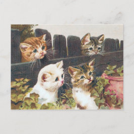 "Vier Kittens" Vintage Briefkaart