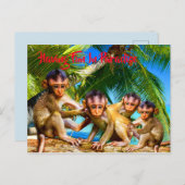 Vier kleine apen briefkaart (Voorkant / Achterkant)