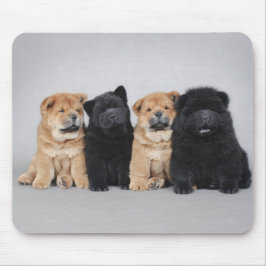 Vier kleine Chow-puppies Muismat