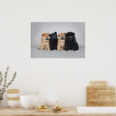 Vier kleine Chow-puppies Poster (Keuken)