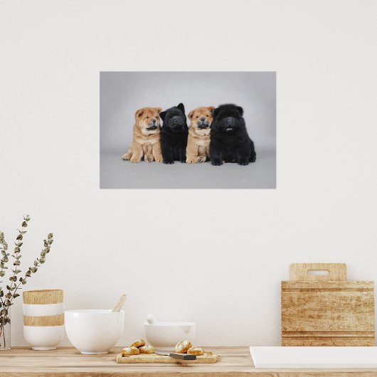 Vier kleine Chow-puppies Poster (Keuken)