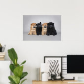 Vier kleine Chow-puppies Poster (Thuiskantoor)