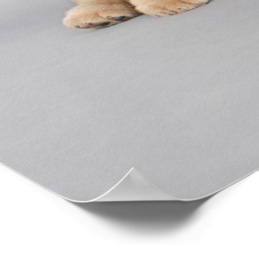 Vier kleine Chow-puppies Poster (Hoek)