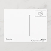 Vier kleine cichorei briefkaart (Achterkant)