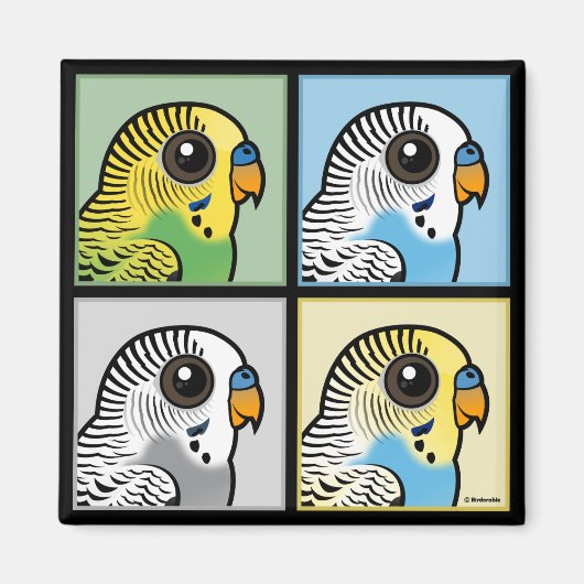 Vier kleuren Budgies Magneet (Voorkant)