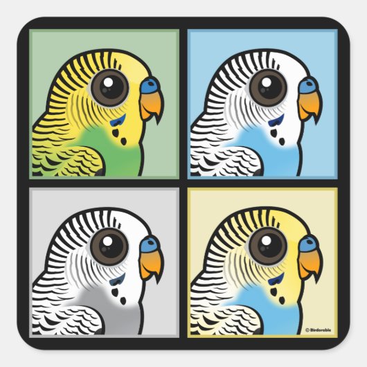 Vier kleuren Budgies Vierkante Sticker (Voorkant)