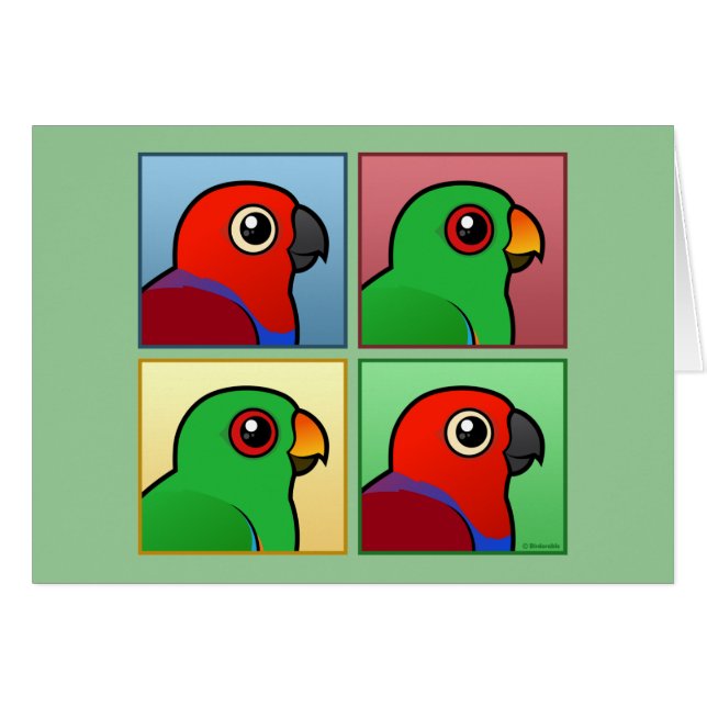 Vier kleuren-eclectus (Voorkant Horizontaal)