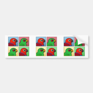 Vier kleuren-eclectus bumpersticker