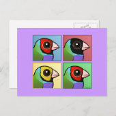 Vier kleuren Gouldian Finch Briefkaart (Voorkant / Achterkant)