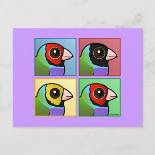 Vier kleuren Gouldian Finch Briefkaart