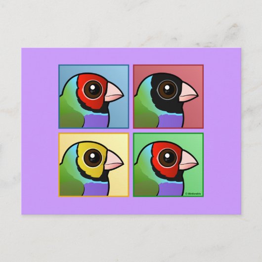 Vier kleuren Gouldian Finch Briefkaart (Voorkant)