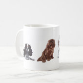 Vier kleuren van Cavalier King Charles Spaniels. M Koffiemok (Voorkant links)