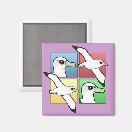 Vier kleurenalbatross magneet (Voorkant / Achterkant)