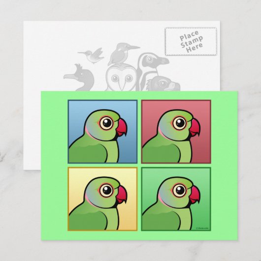 Vier kleurenparkiet met Roos rand Briefkaart (Voorkant / Achterkant)
