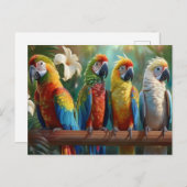 Vier kleurrijke papegaaien briefkaart (Voorkant / Achterkant)
