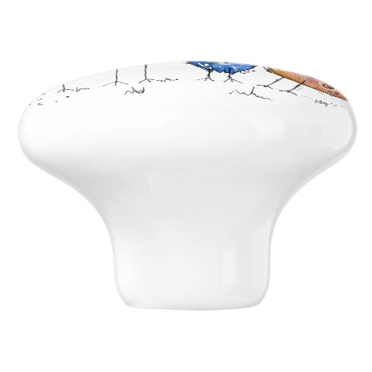 Vier kleurrijke Whimsical-vogels Keramische Knop (Zijkant)