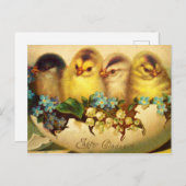 Vier kuikens in een Briefkaart met oosters (Voorkant / Achterkant)