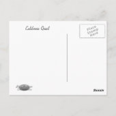 VIER KWARTELS BRIEFKAART (Achterkant)