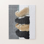 Vier labrador honden in sneeuw legpuzzel (Verticaal)