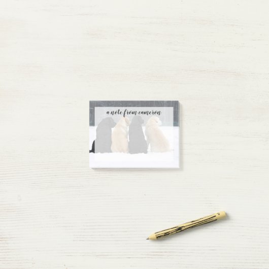 Vier labrador honden in sneeuw post-it® notes (Op bureau)