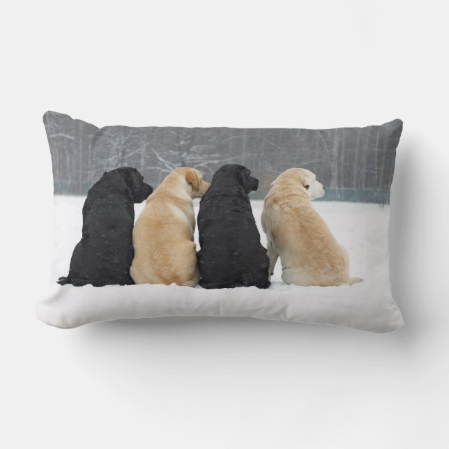 Vier Labradorhonden in de sneeuw Kussen (Voorkant)