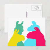 Vier lama's in vier Llama-kleuren - een oude grafi Briefkaart (Voorkant / Achterkant)