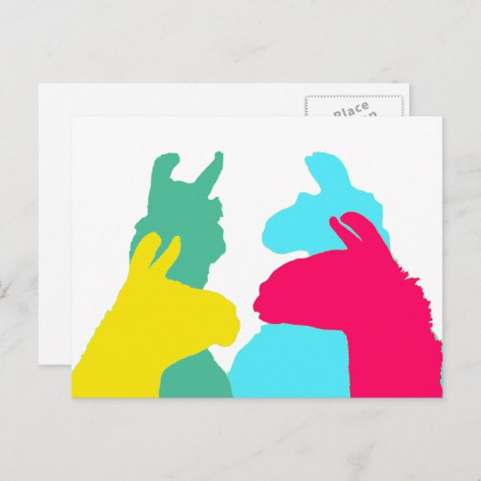 Vier lama's in vier Llama-kleuren - een oude grafi Briefkaart (Voorkant / Achterkant)
