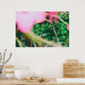 Vier Leaf Clover Charm Poster (Keuken)