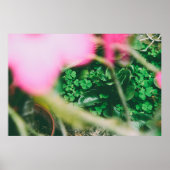 Vier Leaf Clover Charm Poster (Voorkant)