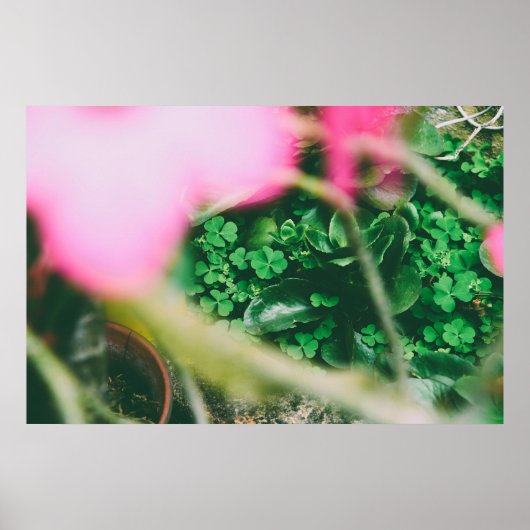 Vier Leaf Clover Charm Poster (Voorkant)