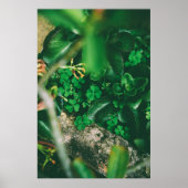 Vier Leaf Clover Charm Poster (Voorkant)