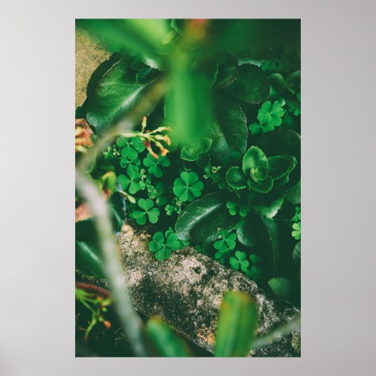 Vier Leaf Clover Charm Poster (Voorkant)