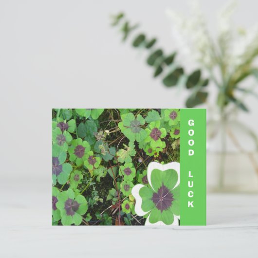 Vier Leaf Clover Leaf & Pattern Good Luck Briefkaa Briefkaart (Staand voorkant)