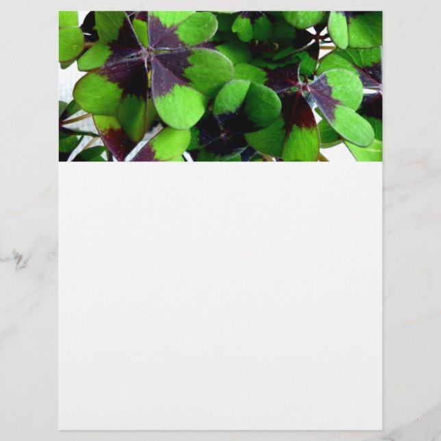 Vier Leaf Clover Letterhead Shamrock St. Patrick's (Voorkant)